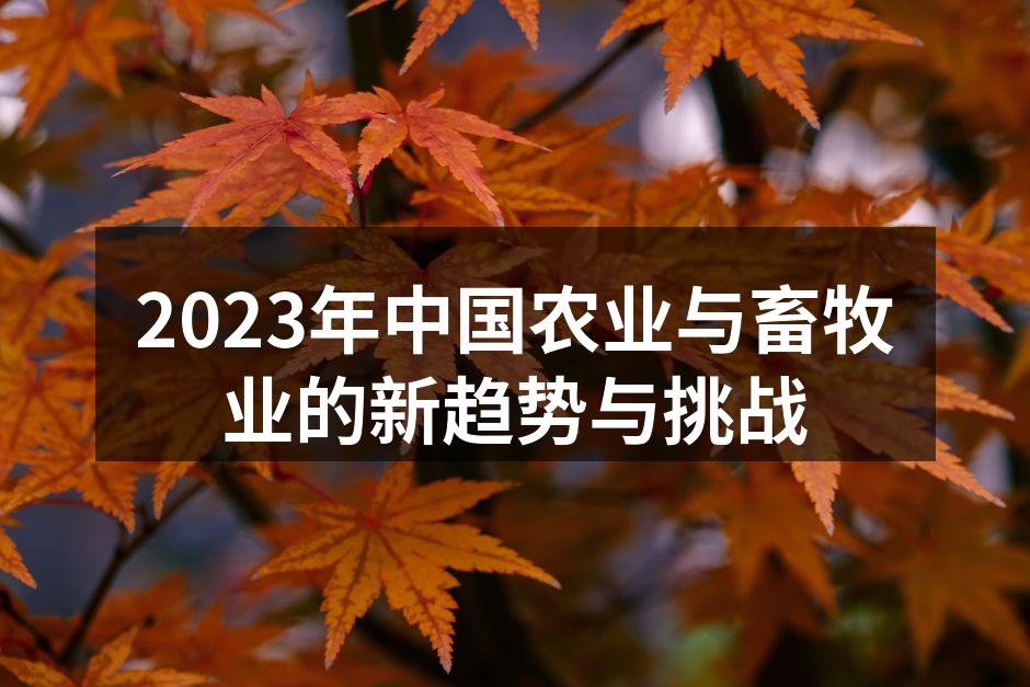 智能农业技术提升产量